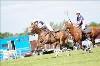 UKPA NC SAT_2596